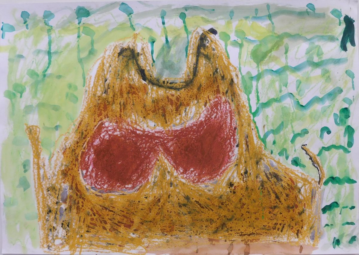 2025年優秀賞『イボイボガエルヒキガエル』