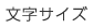 文字サイズ