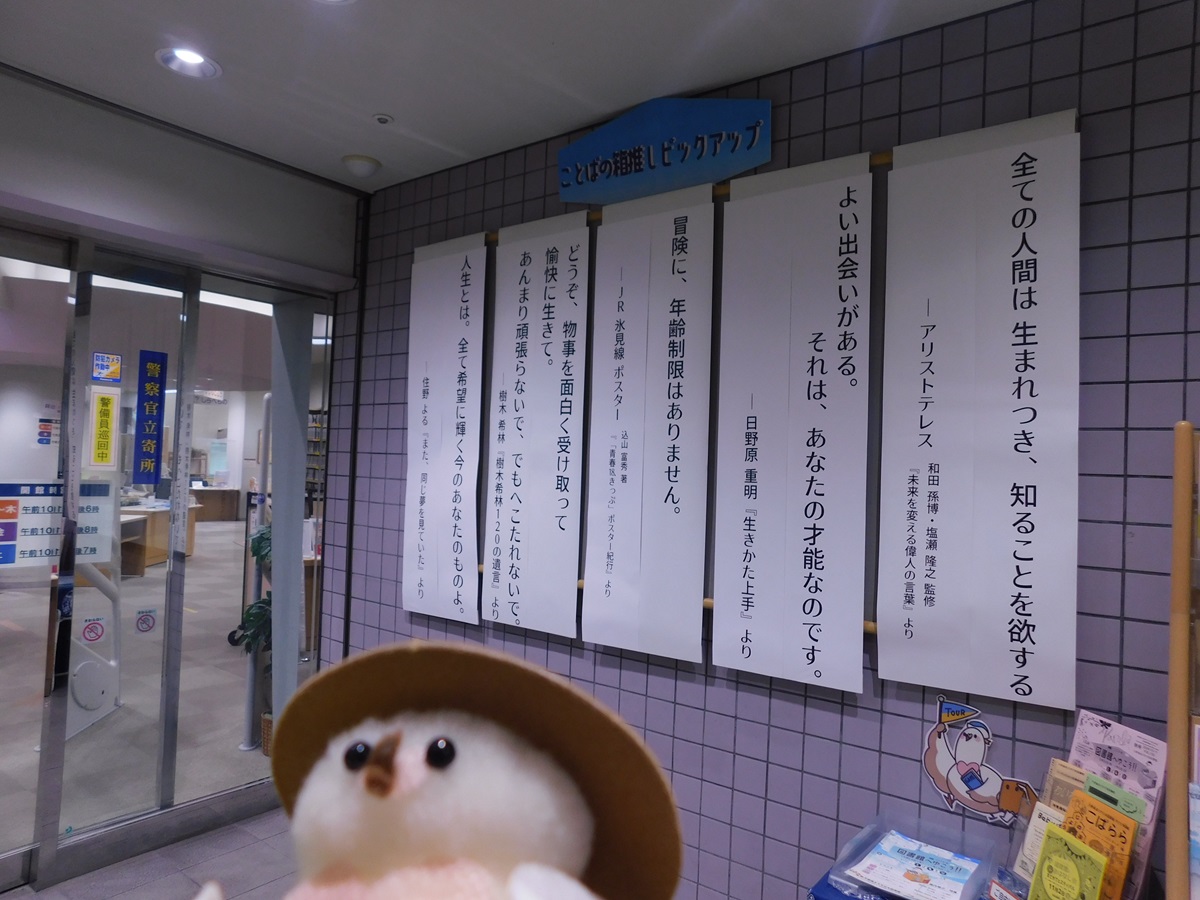 図書館へゆこう!！2024年　写真1