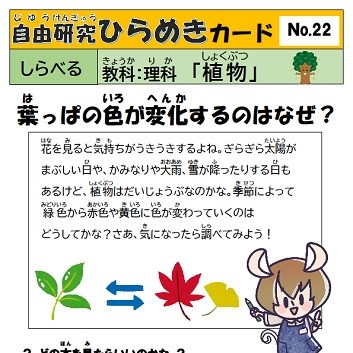 自由研究ひらめきカード　22　植物