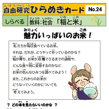 自由研究ひらめきカード　24　稲と米
